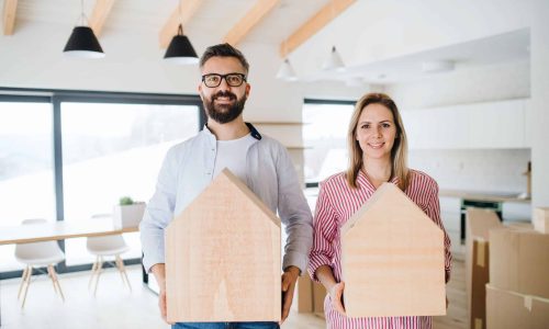 הובלות מומלצים